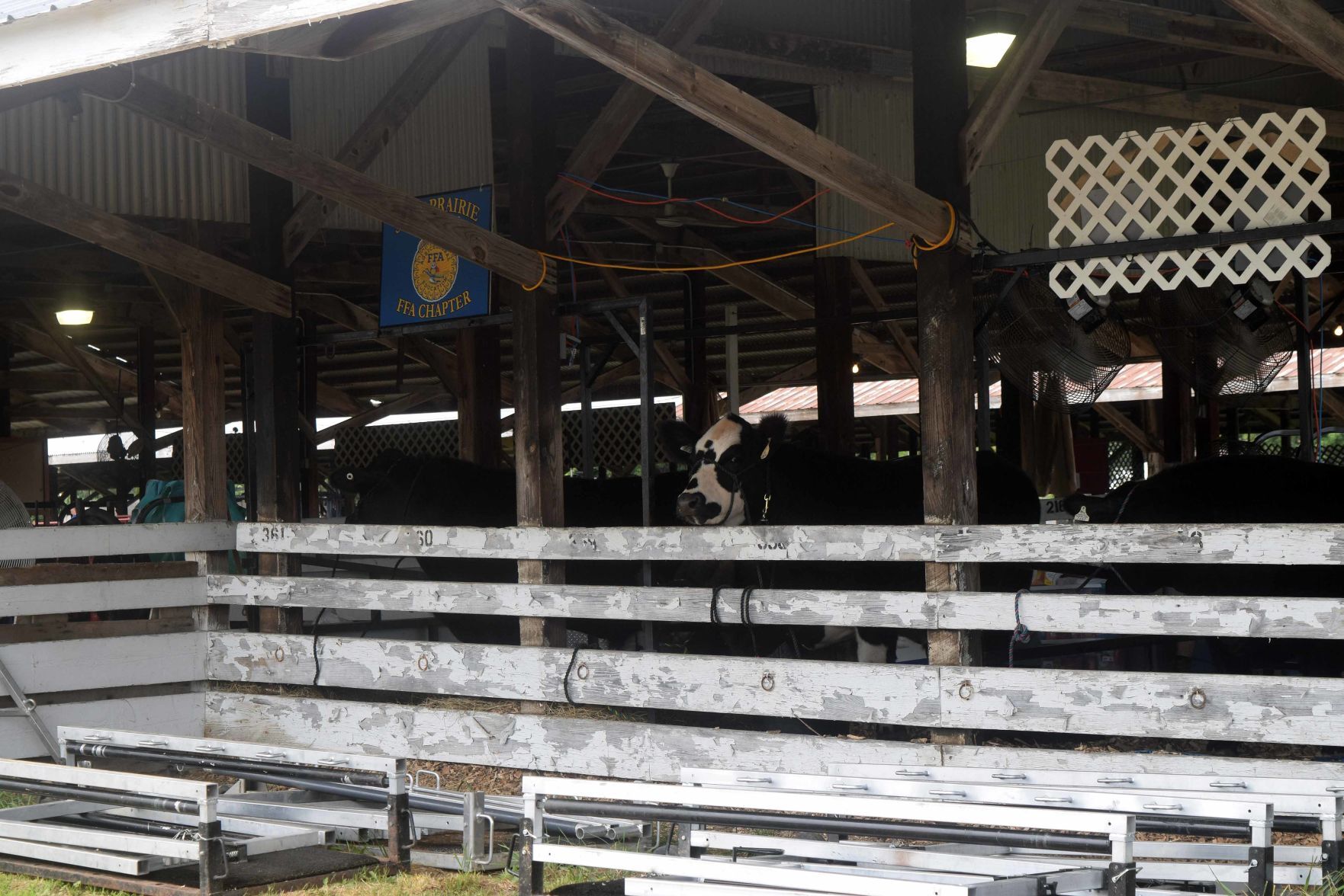 Wednesday at the Columbia County Fair 2021